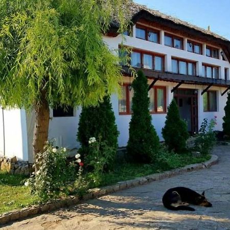 Casa Cu Flori Murighiol Exteriör bild